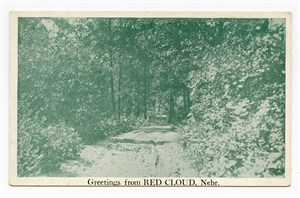 Image description is not available for PHO-264-797